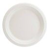 TALIRKY papirove Eco bile 17cm 6ks 55TPP71008