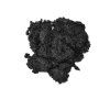 Vanilka bourbonská - semínka BIO 10 g