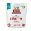 Brit Care Dog Grain-free Sensitive 1kg