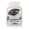 159 golden nature aquamin vapnik horcik 100 cps