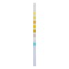 pol pm Ogolne badanie moczu URS 10 TEST 504 2