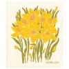 Daffodil 8250