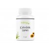 1088 6 kotvicnik zemny
