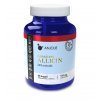 allicin 1