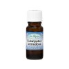 Eukalyptus citrioda, 10 ml Dr. Popov