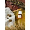 831df8557ece1b6095e7845957a9d430 191023 flatlay 46 ustni voda s propolisem 1920x
