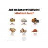 94482 2 brainmax pure turkey tail coriolus prasek bio 100g