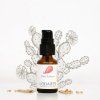 elixir 2