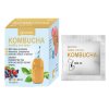 Kombucha 10 400 ml3(1)