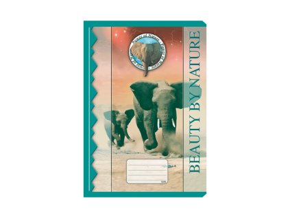 {713AC101 F793 4D5E A8EB E2085903DC1B} M