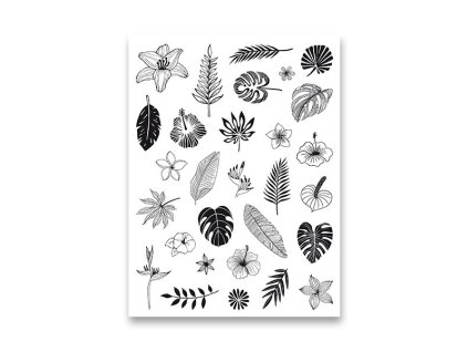 {DC7DB908 5249 450C A81A 79C5F5630846} M