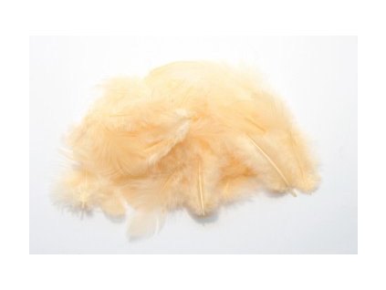 {94FDBCED A07B 4C1D 87D3 40821A000539} M