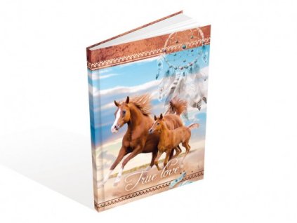 {75FC13A6 66F4 4F2C 859F 41A79F1C3042} M