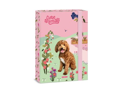 {EE9EAC55 5B77 4C40 9F73 2E38D1D6DB8C} M