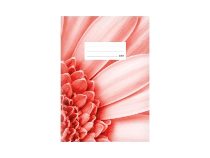 {2946EAFA C20E 4C8F 80E5 0740471FC5E1} M