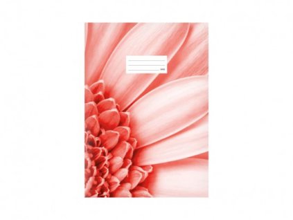 {64E5048E DDD3 474E 8D8F 3F33AF402C44} M