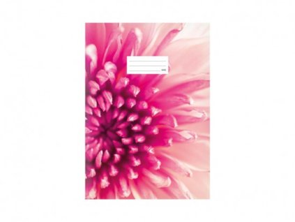 {5F6F5788 1266 429C B451 E8A01D32183C} M