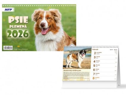 {6C61CF1E 0D82 4E95 B665 1AD9AADF1B65} M