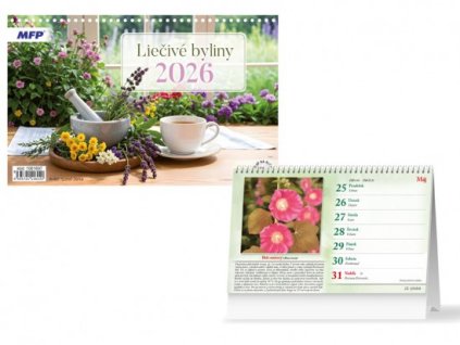 {387E3EBE F93E 44B9 A591 F8A9DEB8780A} M