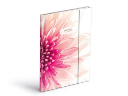 {E635573D C511 454B 8E7A 950767B4390C} M