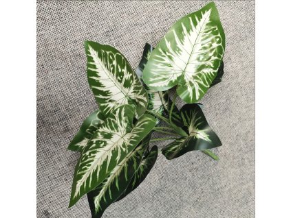 24862 difenbachia listy 9 stonku zelene a bile 36 cm