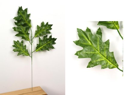 24649 dubovy list s 1 ramenem 55 cm 1 ks
