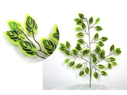 26101 fikus list benjamin se svetlym s tmavym stredem 3 ramenny 60 cm