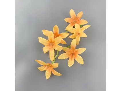 25834 orchidea vetev 6 kvetu 5 5 cm stonek 18 cm oranzova