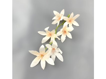 25837 orchidea vetev 6 kvetu 5 5 cm stonek 18 cm sampanske