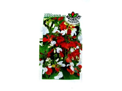 106375 nasiona fasola ozdobna 8g 1 paczka