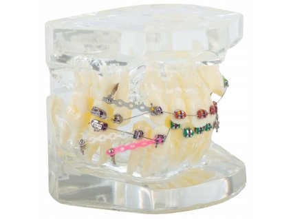 d59030dc8a6bbca383e17165fa957350