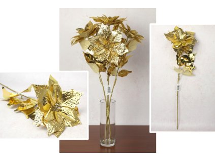 kwiat gwiazda betlejemska po 113646