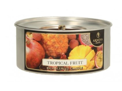 swieca pochodnia ogrodowa w p 86960