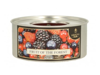 swieca pochodnia ogrodowa w p 86963