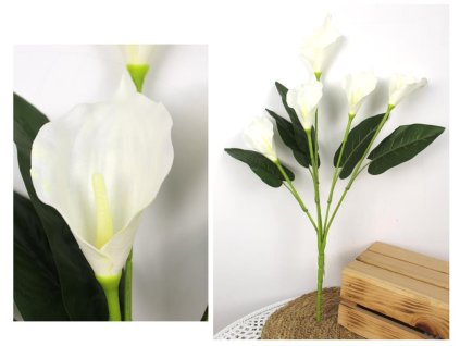 bukiet kalia piankowa wys 61 100679