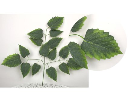 lisc 3 ramienny olcha zielon 101521