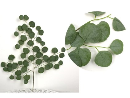 lisc 3 ramienny omszony euka 101533