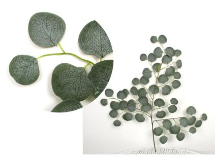 lisc 3 ramienny omszony euka 101538