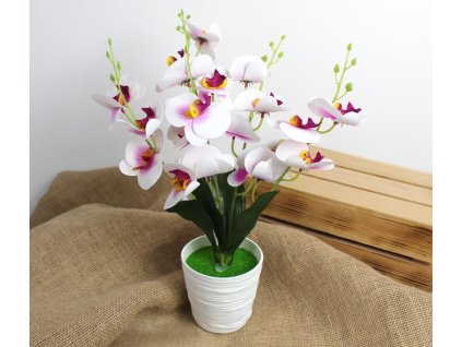 kwiat storczyk w plastikowej 104164