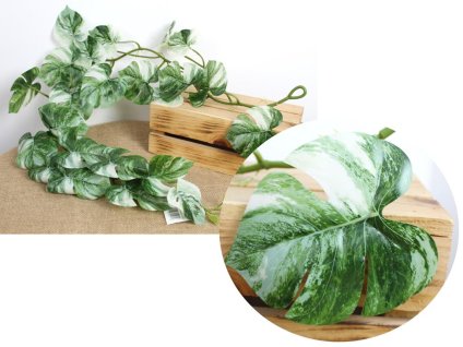 girlanda z liscmi monstery b 104538