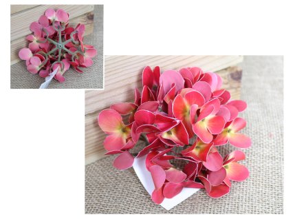 glowka kwiatowa hortensja 3d 107906