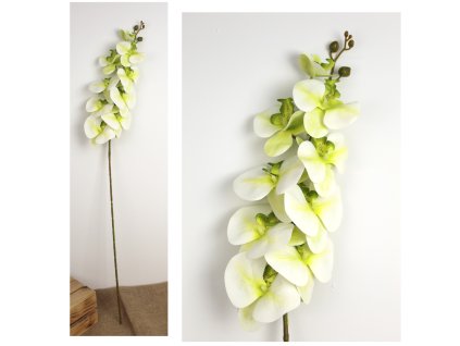 kwiat storczyk wys 100 cm si 107666