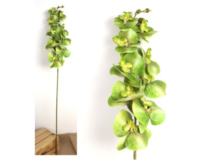 kwiat storczyk wys 100 cm si 107669