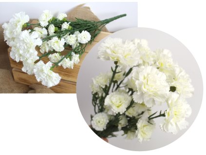 bukiet gozdzik wys 45 cm 7 l 108165