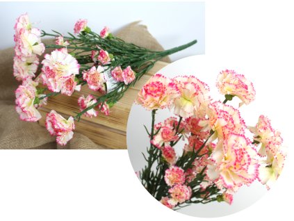 bukiet gozdzik wys 45 cm 7 l 108162