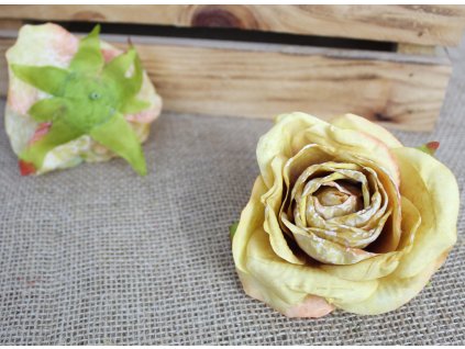 glowka kwiatowa roza zasuszo 109985