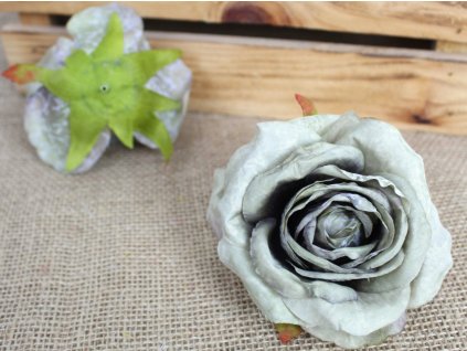 glowka kwiatowa roza zasuszo 109988