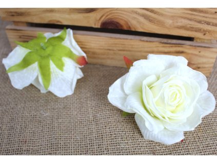 glowka kwiatowa roza zasuszo 109996