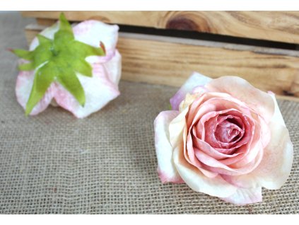 glowka kwiatowa roza zasuszo 109991