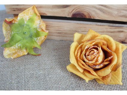 glowka kwiatowa roza zasuszo 109994